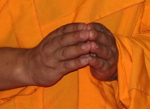 Буддийские монахи молятся за мир во всем мире