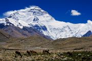 Вид на Эверест. Фото: Вадим Курик