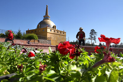 В дацане «Ринпоче Багша» высадили 30 тысяч цветов