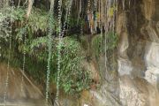 Паломникам на заметку. Пещера Тилопы в Трилокпуре