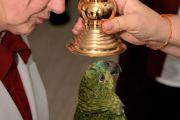 «Подарить мир и покой сердцам животным». Лама Сопа проведет в Москве уникальную церемонию благословения домашних питомцев