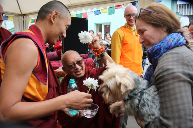 Лама Сопа Ринпоче: «Дарите домашним питомцам дхармические имена»
