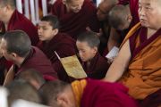 Юный монах следит за текстом во время второго дня учений Его Святейшества Далай-ламы. Бодхгая, штат Бихар, Индия. 25 декабря 2018 г. Фото: Лобсанг Церинг.