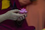 Его Святейшество Далай-лама держит цветочный бутон во время ритуала рудра абхишека (ритуала омовения лингама Шивы). Матхура, штат Уттар-Прадеш, Индия. 23 сентября 2019 г. Фото: Тензин Чойджор (офис ЕСДЛ).