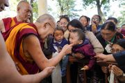 Направляясь в главный тибетский храм в начале первого дня учений по просьбе буддистов из Тайваня, Его Святейшество Далай-лама тепло приветствует маленького мальчика. Дхарамсала, Индия. 3 октября 2019 г. Фото: дост. Тензин Джампхел.