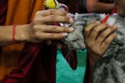Фоторепортаж. Лама Сопа Ринпоче провел в Элисте церемонию благословения животных