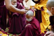 Одному из кандидатов в монахи срезают последнюю прядь волос в знак принятия монашества. Дхарамсала, штат Химачал-Прадеш, Индия. 14 марта 2022 г. Фото: дост. Тензин Джампхел.