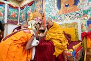 Его Святейшество Далай-лама благословляет каждого монаха, принявшего у него обеты гелонга (полностью посвященного монаха) во время церемонии, организованной в его резиденции. Дхарамсала, штат Химачал-Прадеш, Индия. 26 марта 2022 г. Фото: дост. Тензин Джампхел.