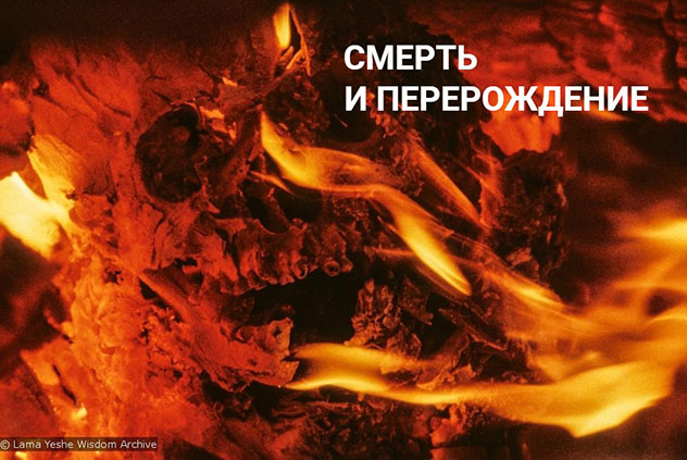 Центр Арьядевы (Санкт-Петербург) объявляет о регистрации на 5 модуль «Смерть и перерождение»