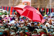 Мальчик прячется под зонтом от солнца среди множества людей, собравшихся на учения Его Святейшества Далай-ламы. Лингшед, Ладак, Индия. 10 августа 2022 г. Фото: Тензин Чойджор (офис ЕСДЛ).