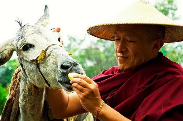 Интервью. Дзонгсар Джамьянг Кхьенце Ринпоче о сохранении биоразнообразия и незаконной торговле дикими животными в Азии