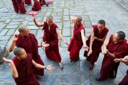 Тибетские буддийские монахини во время философских диспутов. Фото: Olivier Adam.