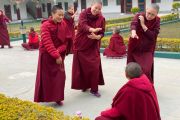 Тибетские буддийские монахини во время философских диспутов. Фото: Tibetan Nuns Project.