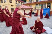 Тибетские буддийские монахини во время философских диспутов. Фото: Olivier Adam.