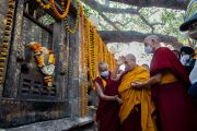 Его Святейшество Далай-лама останавливается, чтобы провести краткую практику размышления под деревом бодхи, где Будда обрел пробуждение. Бодхгая, штат Бихар, Индия. 19 января 2023 г. Фото: Тензин Чойджор (офис ЕСДЛ).