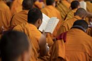 Фоторепортаж. Большой молитвенный фестиваль линии ньингма продолжается в Бодхгае