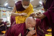 Кандидату в монахи отстригают последнюю прядь волос в знак отречения от мирской жизни. Дхарамсала, штат Химачал-Прадеш, Индия. 2 марта 2023 г. Фото: Тензин Чойджор (офис ЕСДЛ).