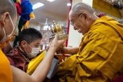 Халха Джецун Дампа Ринпоче (Богдо Джебцзундамба-хутухта Х) делает подношение Далай-ламе XIV во время предварительного посвящения Чакрасамвары в Цуглаканге – главном буддийском храме в Дхарамсале 8 марта 2023 г.