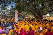 Фото: Penor Rinpoche Charity Foundation