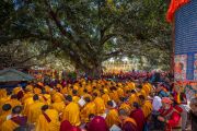 Фото: Penor Rinpoche Charity Foundation