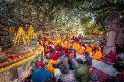 Фото: Penor Rinpoche Charity Foundation