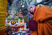 Фото: Penor Rinpoche Charity Foundation