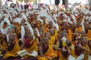 Фото: Kagyu Monlam