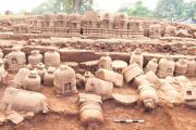 Фото: Debadatta Mallick, The New Indian Express
