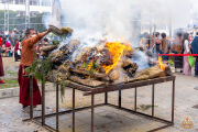 Фото: Ka-Nying Shedrub Ling Monastery