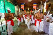 Фото: официальный сайт храма sridaladamaligawa.lk