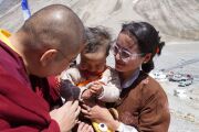 Фото: Ling Rinpoche