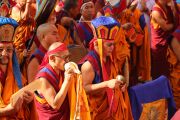 Фото: Menri Trizin